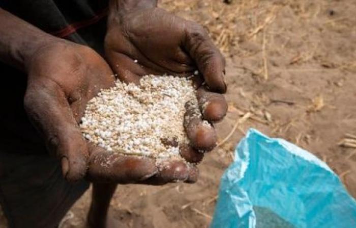 Los productores tienen días brillantes por delante en Senegal