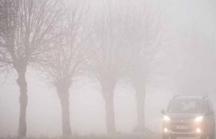 Niebla densa en varias direcciones – Día 24