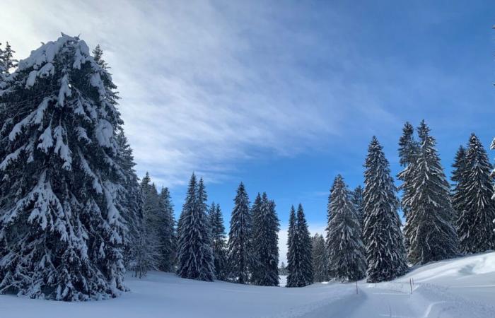 El Arco del Jura bajo la nieve a medida que se acerca la Navidad