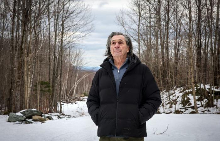 El bosque de Guy Brière, el legado dorado de un empresario