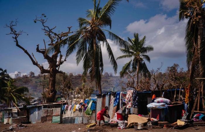 Mayotte | Una semana después del ciclón Chido, los habitantes siguen esperando ayuda