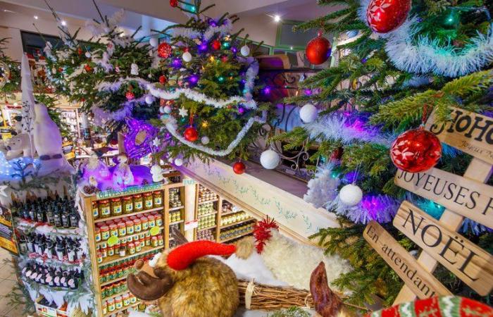 Sumérgete en el corazón de las tradiciones para celebrar el aceite de Navidad en Oulibo, cerca de Narbona