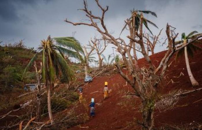 EN FOTOS. Limpieza, búsqueda de agua potable y alimentos… Tras el paso del ciclón Chido, los habitantes de Mayotte intentan sobrevivir