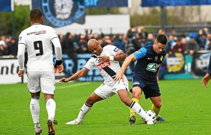 Copa de Francia: “Saint-Brieuc merece su clasificación”, “ni siquiera jugamos un partido de fútbol”… La fría ira de Mathieu Bodmer (Le Havre)﻿