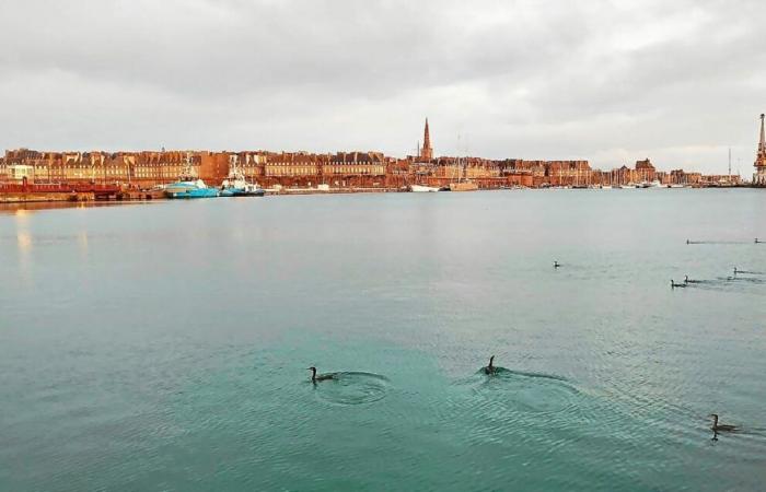 Ideas para salidas familiares durante las vacaciones de Navidad en Saint-Malo