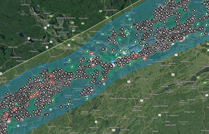 Crear bosques más resistentes al cambio climático