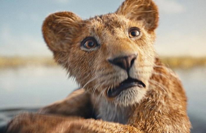 Después del estreno de ‘Mufasa’, creo que Disney tiene que dejar de hacer contenido y volver a centrarse en crear historias inolvidables