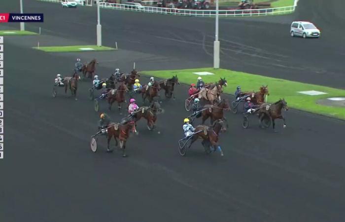 PRIX DES FREESIAS – PARIS-VINCENNES – 20/12/2024: salidas, predicciones y resultados en vídeos – Carrera 1