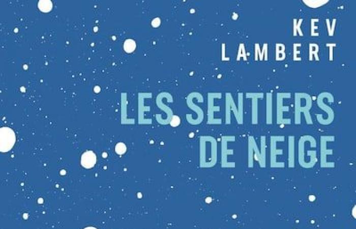 Aquí hay 10 libros de Quebec para colocar debajo del árbol de Navidad