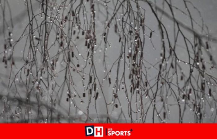 Lluvia, corrientes polares, nieve: aquí está la previsión meteorológica para este fin de semana