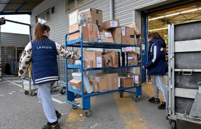 “Un máximo de 9.500 paquetes para distribuir”: para entregar a tiempo para Navidad, La Poste y los carteros de Narbona hacen todo lo posible