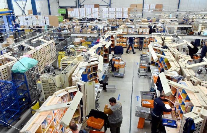 “Un máximo de 9.500 paquetes para distribuir”: para entregar a tiempo para Navidad, La Poste y los carteros de Narbona hacen todo lo posible