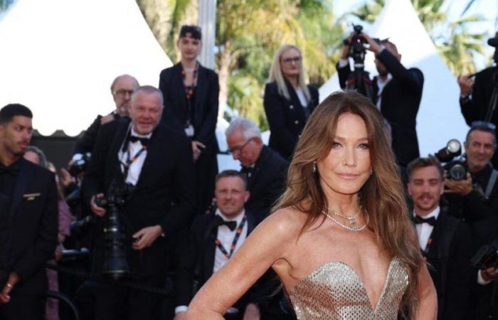 “A diferencia de Carla Bruni, yo no me salto comidas”: esta personalidad defiende los “kilitos de más”