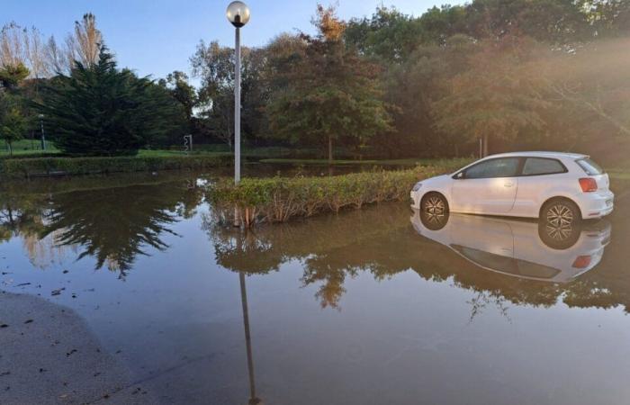 Este municipio de Loira Atlántico trabaja en un nuevo plan de gestión para hacer frente a las inundaciones