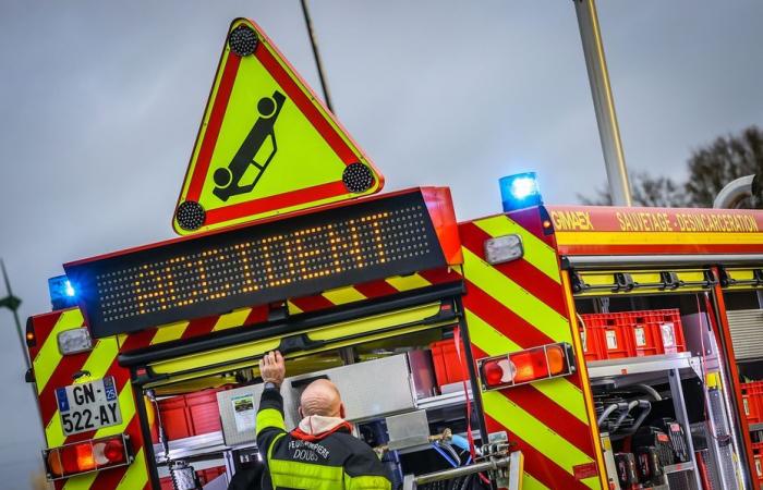 Un camión que transportaba 150 cerdos se vuelca y causa un gran desastre, “hicimos 4 km en 6 horas”