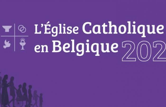 3.574.925 horas de voluntariado registradas en la Iglesia de Bélgica