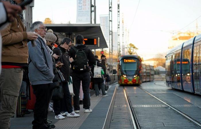 Asistencia, calidad del servicio, seguridad: ¿cuál es el balance un año después del lanzamiento del transporte público gratuito en Montpellier?