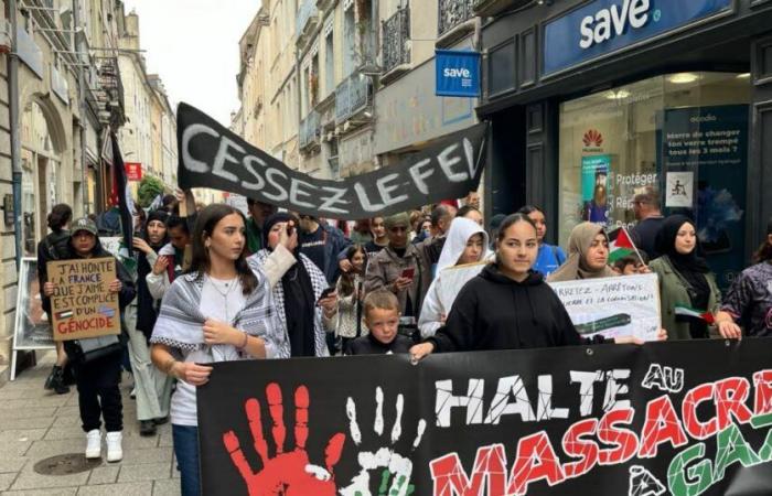 Chalon-sur-Saona. Una manifestación para no olvidar la guerra contra los palestinos