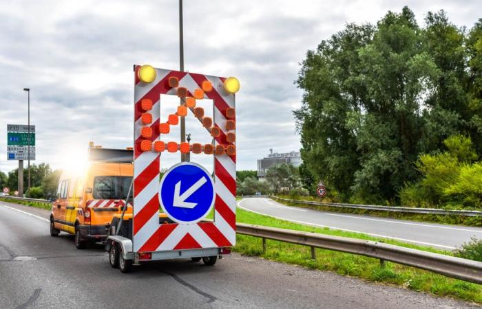 Un centenar de cerdos bloquean la carretera en plena salida de vacaciones.