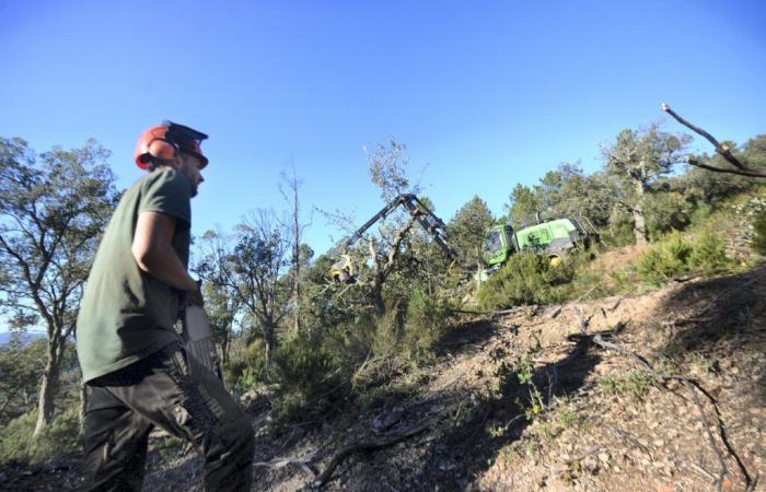 También en invierno la lucha contra los incendios se lleva a cabo en los bosques de Est-Var