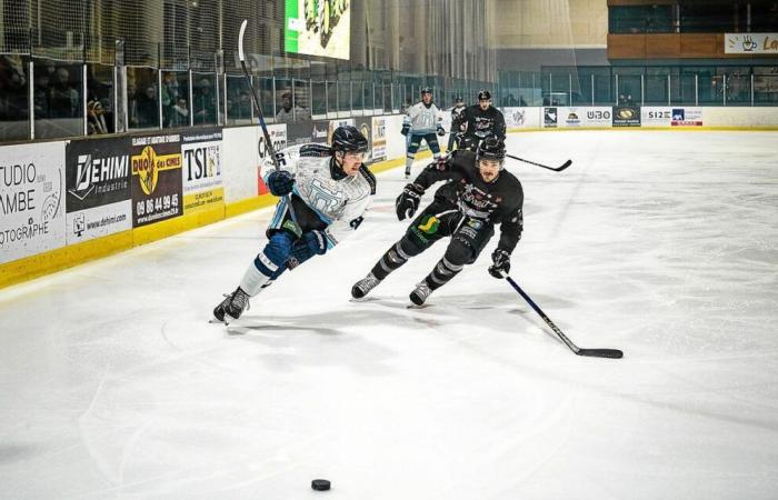 D1: los Albatros de Brest se retiran en el último tercio contra el Tours