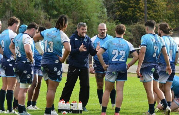 XIII: los Bears se trasladan a Albi