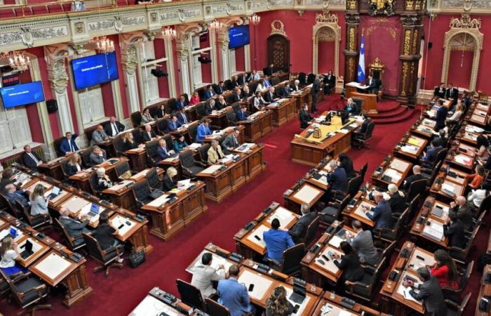 El año 2024 en la política quebequense en algunas palabras clave