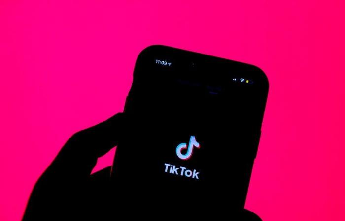 “TikTok es el matón del barrio”, tras la muerte de un adolescente de 14 años, Albania anuncia prohibición de la aplicación por un año