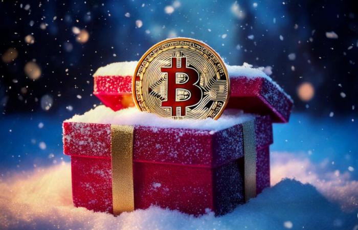 Bitcoin a $1 millón en 2030: ¡Cathie Wood les desea felices fiestas!