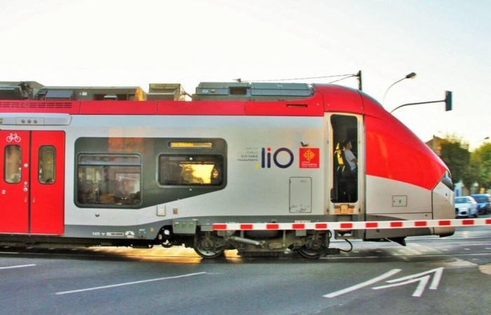 Tolosa. Anuncian nuevas huelgas de maquinistas, ¿qué programa para las vacaciones?