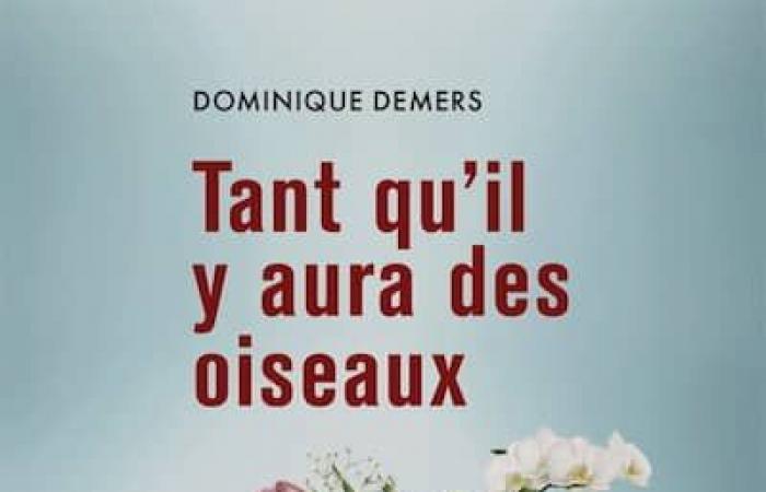 Aquí hay 10 libros de Quebec para colocar debajo del árbol de Navidad