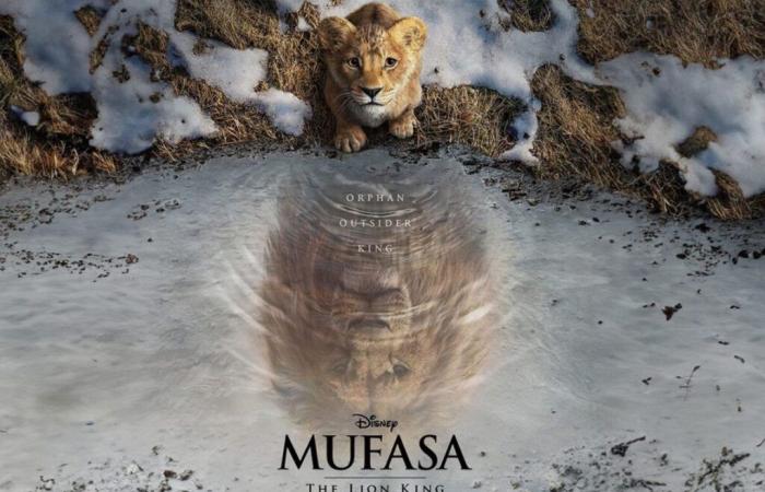 EL CINE IMPORTA Los orígenes de Mufasa – El Golfo 24