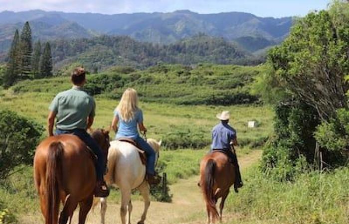 Hawái: las mejores cosas para hacer en Honolulu