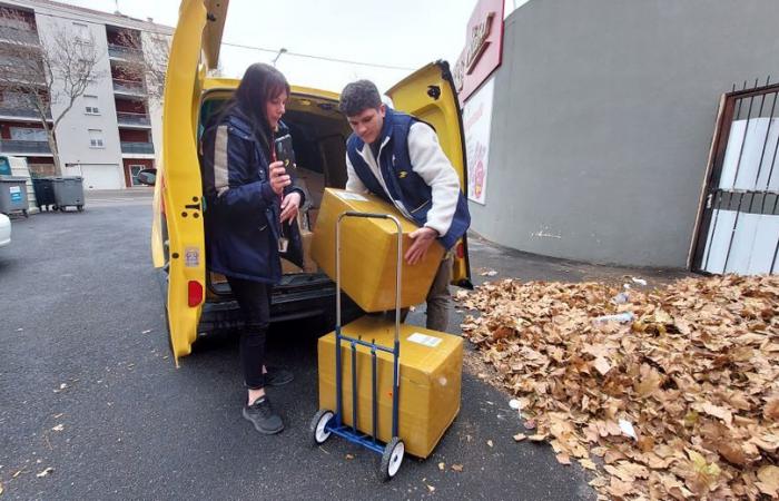 “Un máximo de 9.500 paquetes para distribuir”: para entregar a tiempo para Navidad, La Poste y los carteros de Narbona hacen todo lo posible