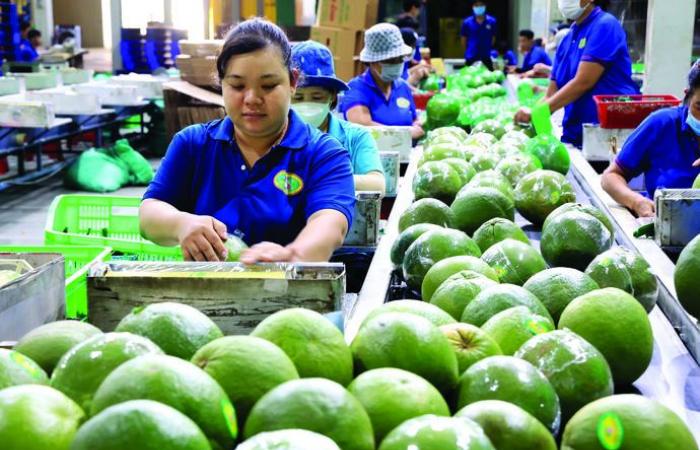 Estimular el crecimiento del crédito, una palanca para la economía