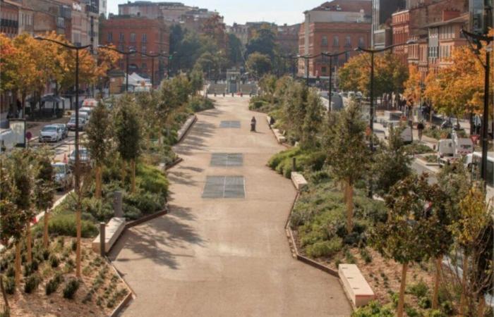 Cómo han cambiado las avenidas Jean-Jaurès de Toulouse en 200 años