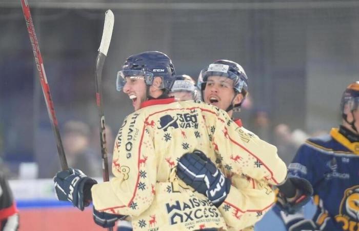 Hockey sobre hielo. A mitad de temporada, los resultados del Drakkars de Caen son buenos