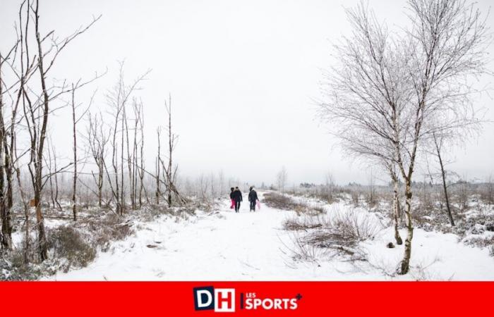 ¿Tendremos una Navidad blanca este año? Aquí está la previsión del tiempo para las vacaciones de invierno.