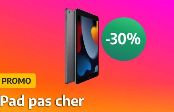 Este iPad es perfecto para tus padres y está en oferta en este comerciante francés