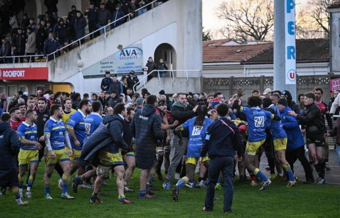 Rugby (Federal 2): ​​​​pelea general entre jugadores, personal y espectadores en Rochefort