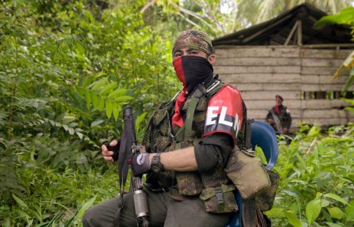 En Colombia, el ELN anuncia una tregua navideña