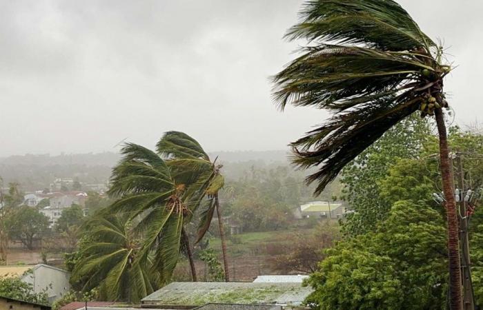 El número de muertos asciende ya a 94 en Mozambique