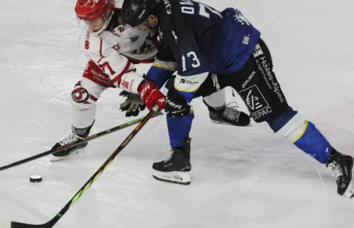 Hockey sobre hielo – Liga Magnus. Grenoble gana ante los ojos de Olivier Giroud, el derbi de Gap… todos los resultados de la 29ª jornada