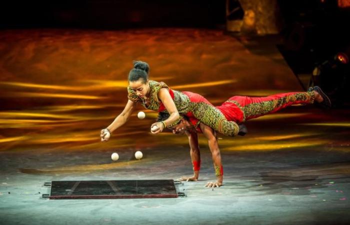 Gana tus entradas para CirkAfrika en el zeni By Las estrellas del Circo de Etiopía