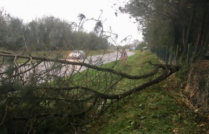 Tormentas y ráfagas de 120 km/h este domingo, se activa vigilancia amarilla