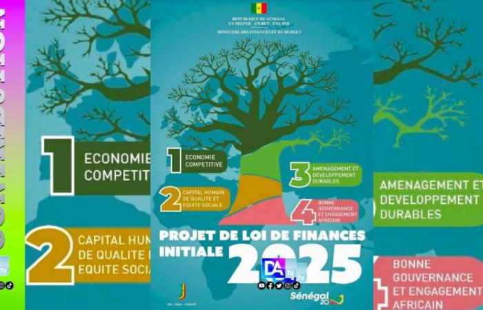 Por fin llega la ley de finanzas de 2025 Por Dr. Abdourahmane BA