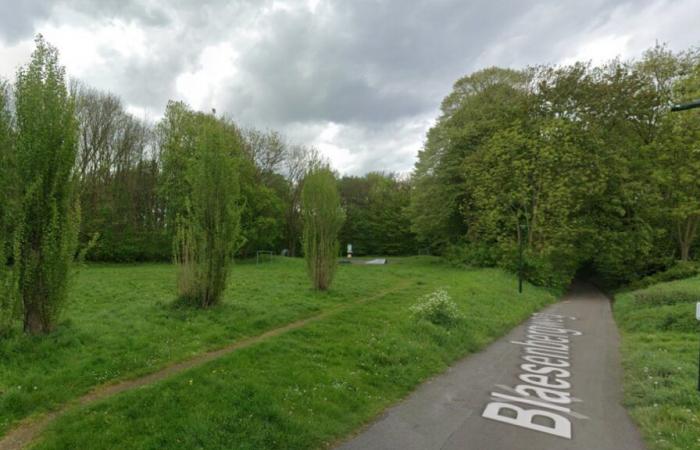 “Atacado” y luego “abandonado” en un parque: un joven de 18 años gravemente herido de Nivellois encontrado en Vilvoorde