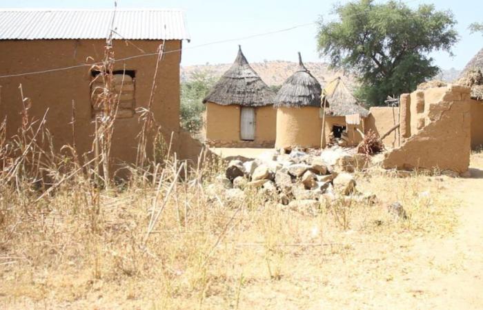 Camerún: cuando el Extremo Norte no disfruta de “los paisajes más bellos del mundo”