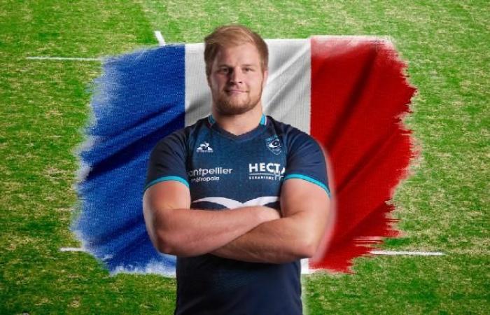 RUGBY. ¿Un ex Stade Français y RCT al frente de una selección para el Mundial de 2027?