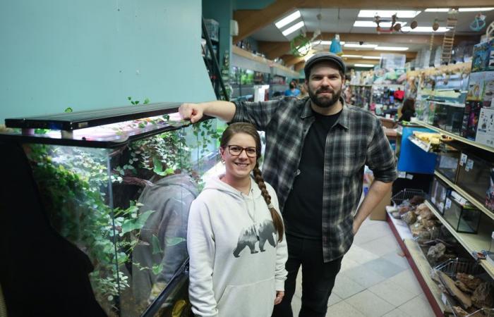 La vida, la ciudad | El Aquarium du Nord sale de la Plaza